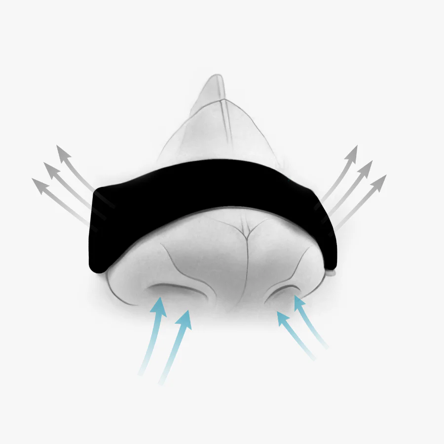 Hostage Nose Strips Subscription - Image 9